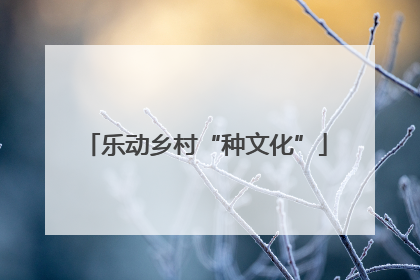 乐动乡村“种文化”